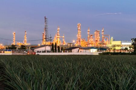 The petrochemical plant in Thailand with pineaple plantation foregroundのeditorial素材