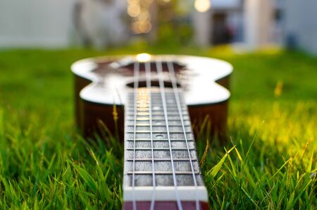 Ukulele put on the grass with the sunset behindの写真素材