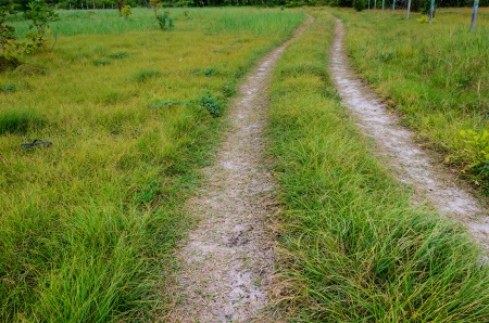 The road on the green grass, Thailandの写真素材