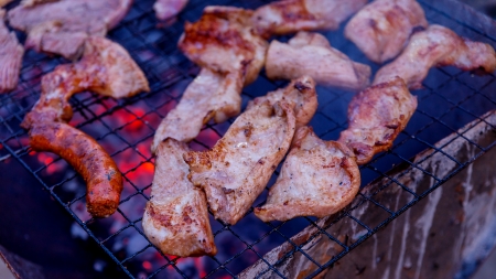 Grilled meat on the hot stove