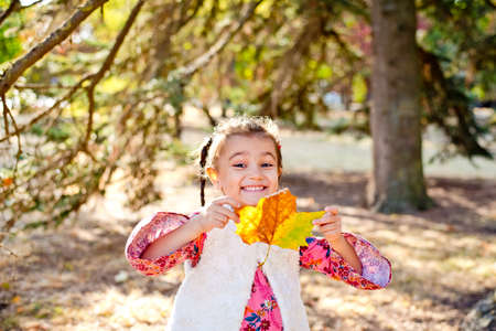 A little girl walks in the autumn forest with a beautiful yellow fallen leaf. A cheerful girl smiles and holds a large bright leaf from a tree.の写真素材