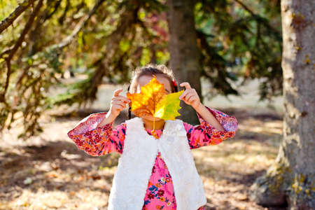 A little girl walks in the autumn forest with a beautiful yellow fallen leaf. A cheerful girl smiles and holds a large bright leaf from a tree.の写真素材