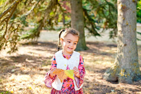 A little girl walks in the autumn forest with a beautiful yellow fallen leaf. A cheerful girl smiles and holds a large bright leaf from a tree.の写真素材