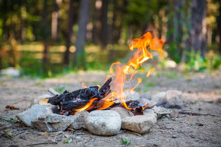 Burning forest at night. Campfire in a tourist camp outdoors in the mountains. Flame and fire sparks on a dark abstract background. We are preparing an outdoor barbecue. Infernal element of fire. Fuel, power and energy. Bonfire by the water in the forestの写真素材