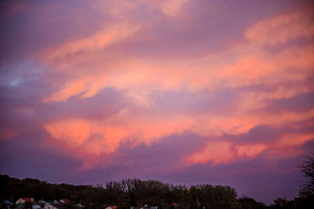 Dramatic sunrise, sunset pink purple sky with clouds background texture. Beautiful sky above the forestの写真素材