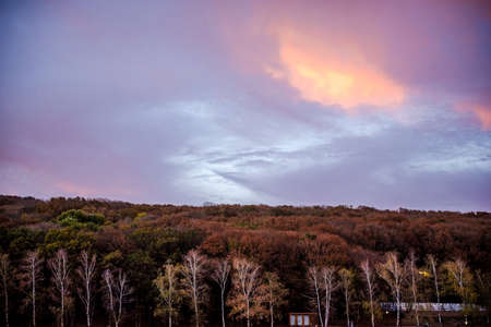 Dramatic sunrise, sunset pink purple sky with clouds background texture. Beautiful sky above the forestの写真素材