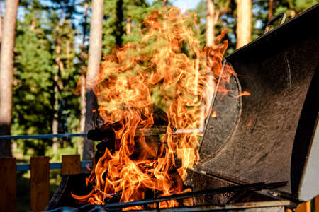 Barbecue Grill Pit With Glowing And Flaming Hot Charcoal Briquettes, Close-Up. Bonfire on wooden firewood in the barbecueの写真素材