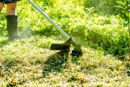 Worker mowing tall grass with electric or petrol lawn trimmer in city park or backyard. Gardening care tools and equipment. Process of lawn trimming with hand mowerの写真素材