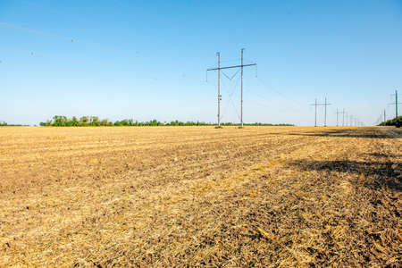 Plowed wheat field. Straw in the fields. Rural landscape with blue sky background. Golden harvest of...