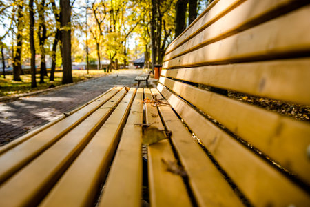Bench in the autumn Park. Yellow maple leaves in the old city Park. Yellow leaf on the bench. Autumn...