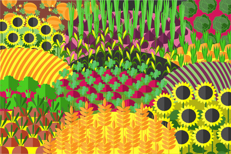 Plenteous Fields Seamless Pattern. Harvest background. Fields with Different Agricultural Culture.. Pumpkins, Corn, Tomatoes, Beet, Cabbage, Carrot, Sunflower, Lavender and Greenery. Farming landscapeのイラスト素材