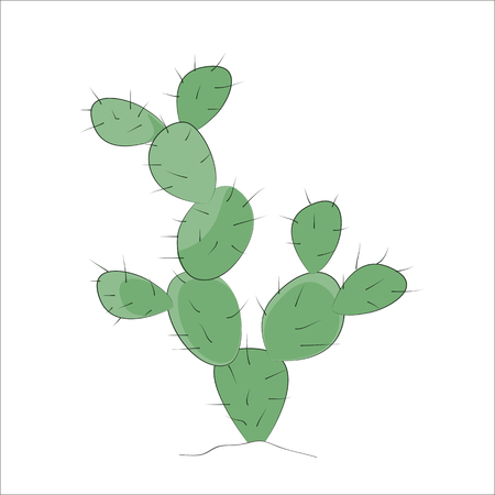Prickly Pear Cactus vector. Simple hand drawn plant for your design.のイラスト素材