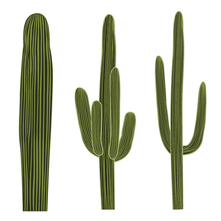Isolated Saguaro Cactus Set. Vector illustrationのイラスト素材