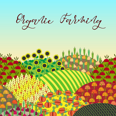 Organic farming background. Pattern with plenteous fields landscape. Organic farming background. Pattern with plenteous fields landscape.