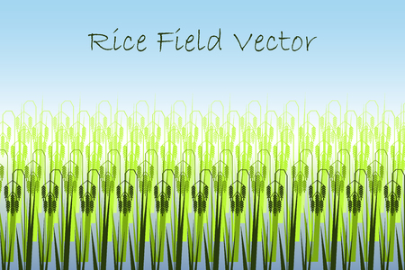 Illustration with stylized green rice paddy field. Background for business cards, banners, agriculture companies.のイラスト素材