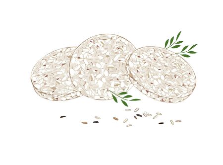 Round rice crispbreads with leaves on white background, top view.のイラスト素材