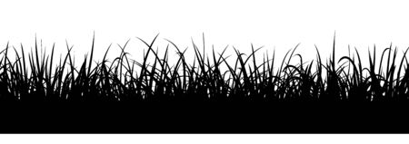 Black grass silhouette, seamless illustration. Meadow border, vector endless backgroundのイラスト素材