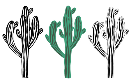Old saguaro cactus isolated on white background, Carnegiea gigantea vector illustration. Black and white graphic and color setのイラスト素材