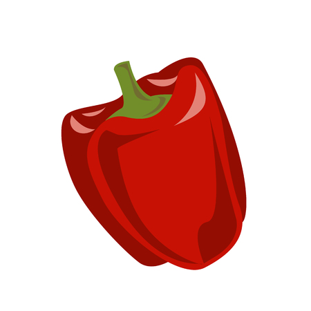 Red pepper vector illustration. Modern vector flat image design isolated on white background.のイラスト素材