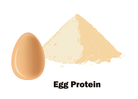 Egg protein powder and the whole egg. Vector illustration. Bodybuilding supplement concept.のイラスト素材