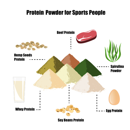 Protein powder infographic setのイラスト素材