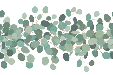 Elegant seamless border of a eucalyptus branches. Floral frame. Vector hand drawn illustration. White background.のイラスト素材