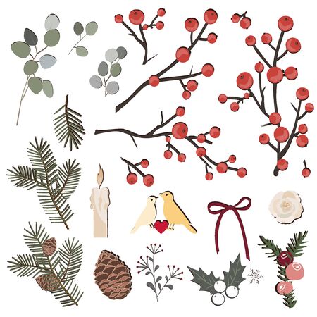 Hand drawn vector herbal set with pine branches and cones, berds, eucaluptys, and berries. Christmas design elements collectionのイラスト素材
