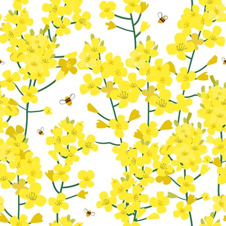 Seamless rape plant pattern, vector flower background. Texture for print, spring summer fashion, textile design, fabric, honey shop website, wallpaperのイラスト素材