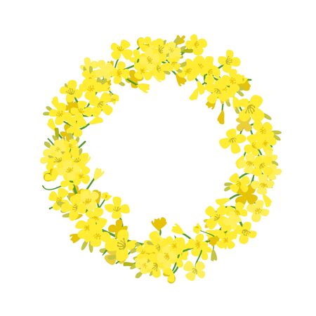 Canola wreath, Rapeseed garland blossom flowers card. Vector template. Flowering colza chaplet. Brassica napus crown. Blooming yellow rape.のイラスト素材