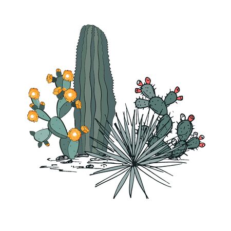 Decorative composition composed of groups of cacti, blooming prickly pear, and yucca. Vector illustration isolated on white background.のイラスト素材