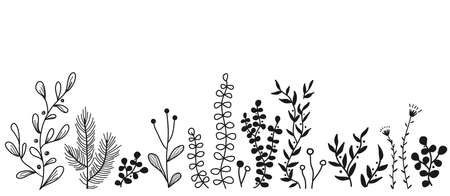 Vector floral border with doodle forest and meadow plants. Hand drawn abstract background for frames, posters, textileのイラスト素材