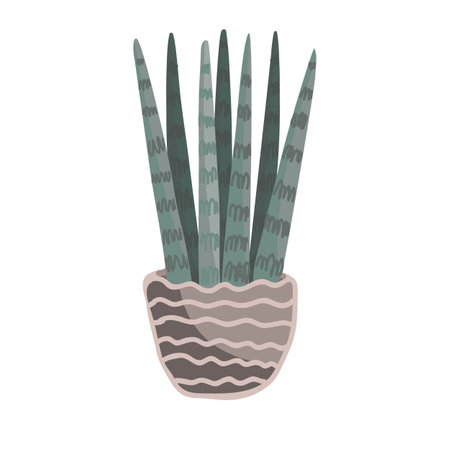 House decorative plant - exotic sansevieria cylindrica in the ceramic pot isolated on white background. Modern home decor - green snake tongue potted plant. Cartoon hand drawn vector illustrationのイラスト素材