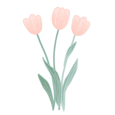 Doodle vector pink tulip flowers isolated on a white background. Creative illustration for your designのイラスト素材