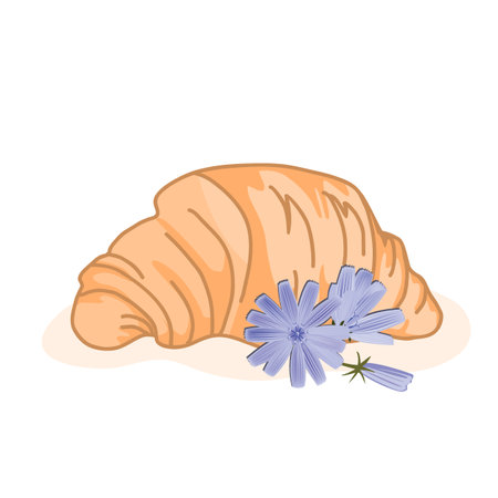 Delicious baked croissant and cute chicory flowers isolated on a white background. Vector illustration, good morning conceptのイラスト素材