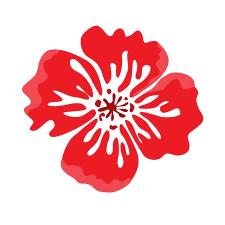 Abstract red poppy isolated on white background. Vector illustration isolated on whiteのイラスト素材
