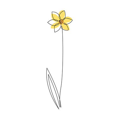 Daffodil flower in continuous line drawing style. Black line sketch on white background. Vector illustrationのイラスト素材