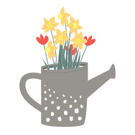 Hand-drawn first spring flowers in a garden watering can on a white background. Tulips and daffodils vector illustration. Botanical retro picture for garden backgrounds, floral design.のイラスト素材