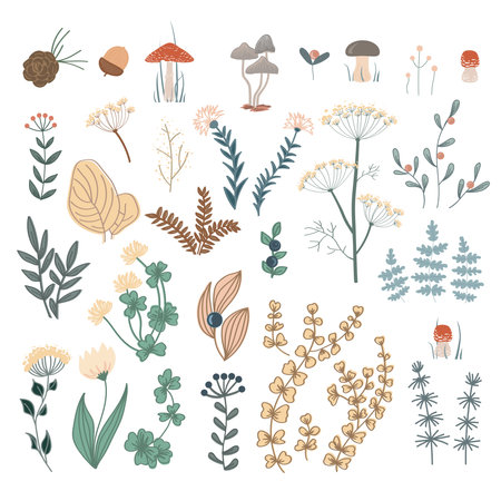 Autumn forest herbs and flowers, floral elements set. Vector doodle hand drawn plants and mushrooms isolated design elementsのイラスト素材