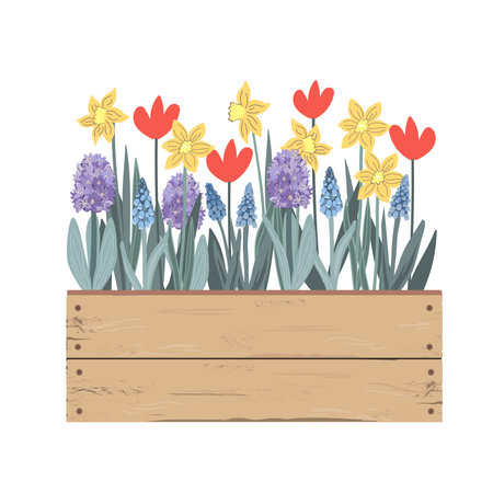 Wooden vintage box with Spring flowers. Tulips, hyacinths, muscari, daffodils. Doodle hand drawn vector illustration isolated on white. Summer gardenのイラスト素材