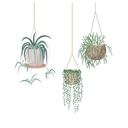 Hanging houseplants set in flowerpots. Flat hand drawn isolated vector illustration. Foliage for modern office or home decor. Cute flowers for urban jungle gardenのイラスト素材