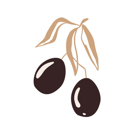 Olive Branch with two fruits and leaves, gold and black palette, doodle hand drawn style. Vector isolated Illustration, premium olive oil logo.のイラスト素材