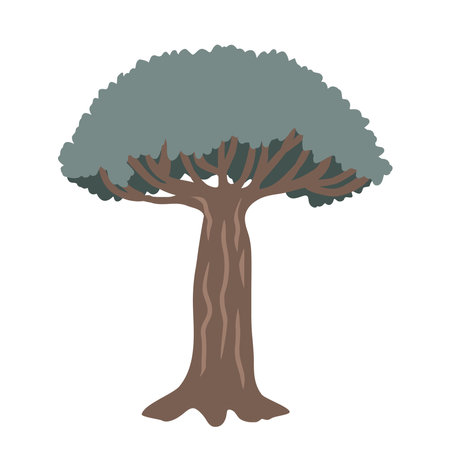 Dragon blood tree on a white background, vector isolated illustration.のイラスト素材