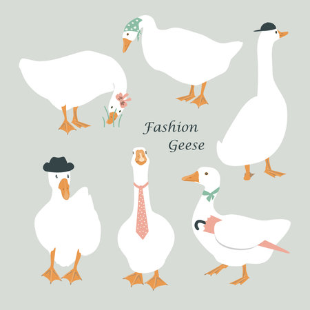 Set of cute dressed geese. Goose in a hat, tie, scarf, and with umbrella. Funny vector illustration.のイラスト素材