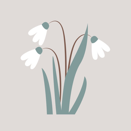 The first snowdrops plant isolated on white background. Cartoon vector illustrationのイラスト素材