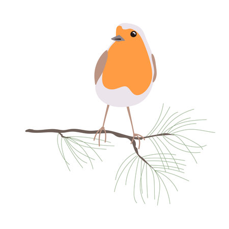 European robin bird sitting on the branch, vector isolated illustrationのイラスト素材