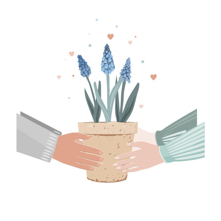 Male hands holding gift potted muscari plant, gives to woman. Man gives grape hyacinth flower in pot. Valentine card, love concept. Isolated vector, white background.のイラスト素材