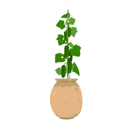Cucumber plant with vegetables in stylish old clay flowerpot. Potted onion growing at home, isolated vector illustration.のイラスト素材