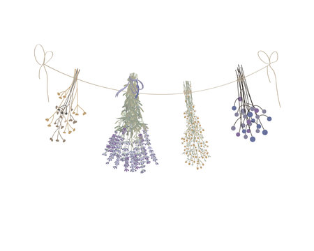 Doodle dried grass bunches of hanging herbs on rope. Herbarium, witchcraft ingredients, aromatherapy cartoon clipart Vector illustration isolated on white backgroundのイラスト素材