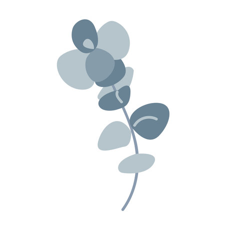 Branch of silver dollar or baby blue pulverulenta eucalyptus. Gum tree twig isolated design element. Vector cartoon illustrationのイラスト素材