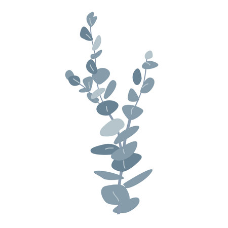 Branch of silver dollar or baby blue pulverulenta eucalyptus. Gum tree twig isolated design element. Vector cartoon illustrationのイラスト素材